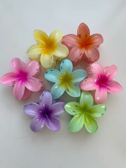 claw clips